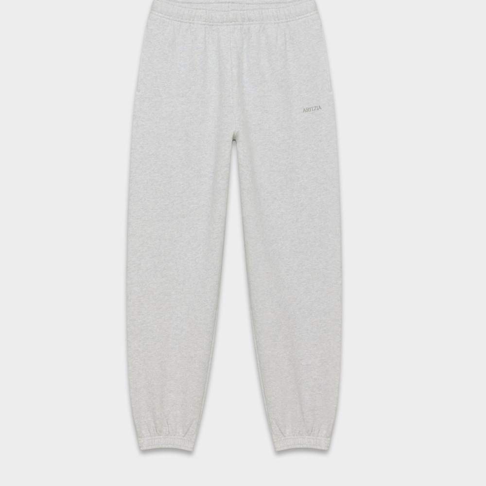 Aritzia Cozy Sweatfleece Mega Jogger in Gray